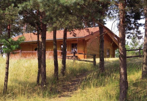 Ferienhaus-Park Brennickenswerder Lychen Zewnętrze zdjęcie