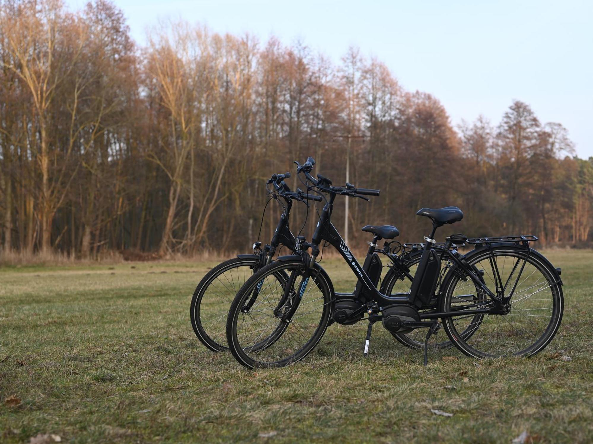Ferienhaus-Park Brennickenswerder Lychen Zewnętrze zdjęcie