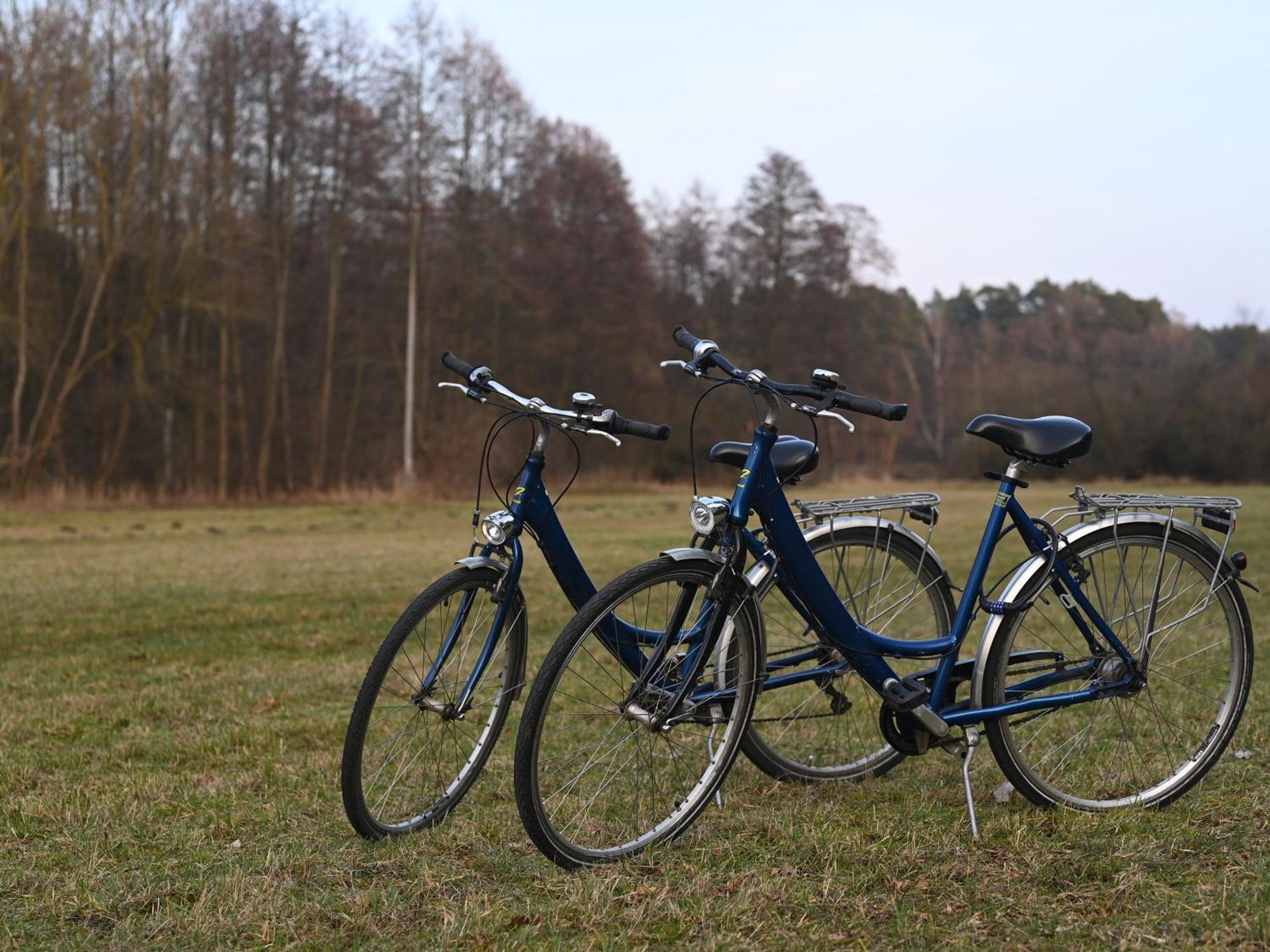 Ferienhaus-Park Brennickenswerder Lychen Zewnętrze zdjęcie