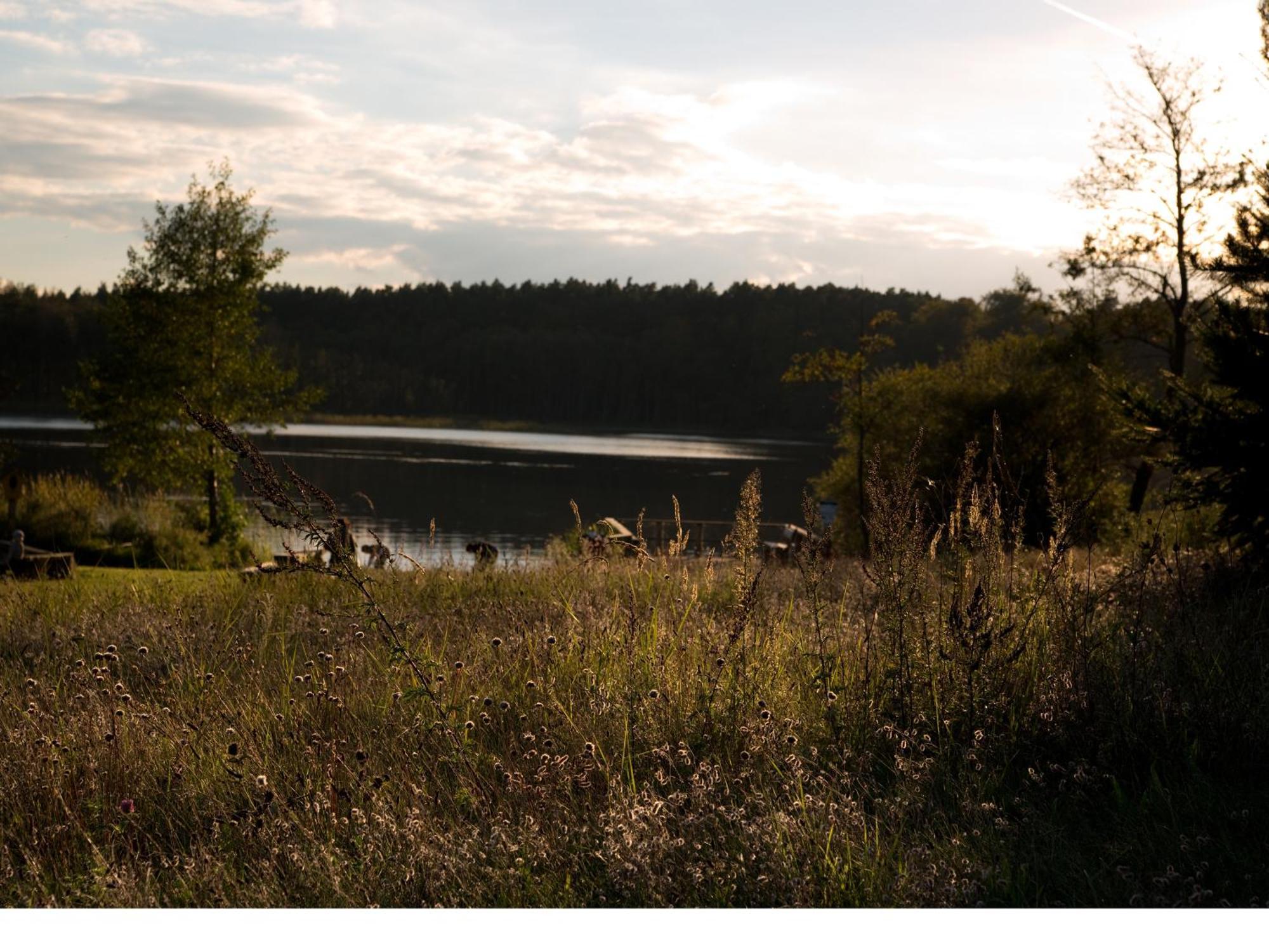 Ferienhaus-Park Brennickenswerder Lychen Zewnętrze zdjęcie